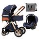 Baby Stroller Carriage 3 in 1 Infant Pram Pushchair for Newborn and Toddler,Newborn Reversible Bassinet Pram,Adjustable High View Luxury Baby Pram Stroller with Rain Cover (Color : Blue)