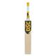 DSC Roar Claw Kashmir Willow Cricket Bat Short Handle Mens