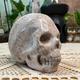 Coral Fossil Crystal Skull Carving - Coral Fossil Skull - Hand Carved Coral Fossil Skull - Crystal Decor - Crystal Gift - CF7