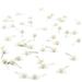 Map Tacks White (Matte) by 1/4 Round Matte Head: 50 Pins Per Box. White Color Wedding pins Travel Map Pins Large White map pins