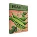 August Grove® Abdikarim Debbi Wetzel Seed Packets 20 - Peas Canvas Art Canvas, Cotton in Black/Green/Pink | 19 H x 14 W x 2 D in | Wayfair