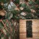 100cm x 200cm Artificial Fence Trellis Screening Privacy Garden - Ivy Leaf