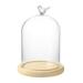 Clear Glass Cloche Bell Jar Display Case with Bird Handle Wooden Base Clear Glass Jar Tabletop Display Case Display Dome with Bamboo Base