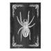 Stupell Industries Ax-414-Wood Black & White Spider On MDF by Lil' Rue Graphic Art in Black/White | 15 H x 10 W x 0.5 D in | Wayfair