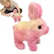 Animal en peluche qui marche avec un roi qui chante jouet musical coule apprentissage mentaires