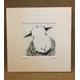 Herdwick sheep print 2 - Herdwick, limited edition print, square print