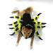 LWITHSZG Halloween Pet Clothes Halloween Spider Costume Cape With Hat for Spooky Dog Cat