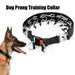 Qianha Mall Pet Collar with Quick Release Adjustable Dog Prong Collar with Quick Release Buckle Safe Effective Training Pet Collar for Small to Dogs Double