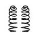 2006-2010 Volkswagen Passat Rear Coil Spring Set - DIY Solutions