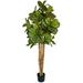 Primrue 6' Artificial Fiddle Leaf Fig Tree in Plastic Planter Plastic | 72 H x 32 W x 32 D in | Wayfair 5FD89485463B4F63BC24D35C25CBEF9A