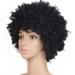 Fnochy Black 2023 Friday Deals Health and Beauty Products Black Synthetic Curly Wigs for Women Short Wig American Natural