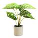 Fake Plants Faux Leaf Artificial Alocasia Plant in Matte Black Pot Greenery Aesthetic House Plants for Home Decor Indoor Bathroom Table Shelf Desk Office Decoration - type:style3