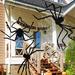 The Holiday Aisle® Halloween Giant Spider Decorations (3 Pack), Realistic Halloween Spider Props | Wayfair 4005B3CE2D6D4F4D9FEE9C878E5AC808