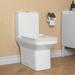 DeerValley Ace Dual-Flush Elongated One-Piece Toilet (Seat Included)