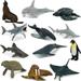 Fun Gift Sea Animal Toy Set 12 pcs Animal Sea Figures Ocean Toy for Kids Realistic Set for Sea Lovers Includes Great White Shark Dolphin White Shark Whale for Age 3+