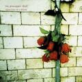 Variations On A Dream(Digipak) (CD, 2023) - The Pineapple Thief