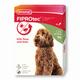 beaphar FIPROtec® Flea & Tick Spot-on For Dogs - L (20-40kg) | 6 pipettes