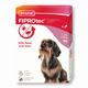 beaphar FIPROtec® | Small 2-10kg | Flea & Tick Spot-On For Dogs | 6 Pipettes