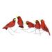 Northern Cardinals,'Wood Cardinal Ornaments (Set of 5)'