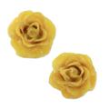 Flowering Passion in Yellow,'Natural Rose Button Earrings in Yellow from Thailand'