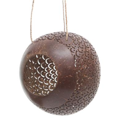 Sea Scales,'Coconut Shell Hanging Birdhouse from Indonesia'
