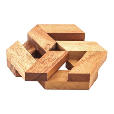 Elegant Hexagon,'Hexagonal Raintree Wood Puzzle from Thailand'