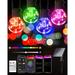The Holiday Aisle® 50Ft Solar Smart String Lights G40 Globe 25 LED App& Remote Control in Black | 590 W in | Wayfair