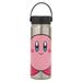 Kirby 17 oz. Stainless Steel Water Bottle