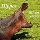 Hippos - African giants (Wall Calendar 2023 300 × 300 mm Square) - Calvendo