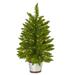 2’ Pre-Lit Potted Providence Pine Artificial Christmas Tree, Clear Lights - 2 Foot