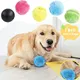 Balle roulante magique pour chien et chat boule roulante électrique peluche à mâcher coule et