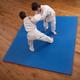 Gym Martial Arts karate Judo red/blue 20mm Jumbo Mats x 4sqm