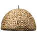 Alden Décor Natural Seagrass 1-Light Pendant