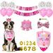 Dog birthday party outfit Birthday candles spit towel Birthday hat pink