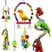 Small Bird Swing Toys 6 PCS Parrots Chewing Natural Wood and Rope Bungee Bird Toy for Anchovies Parakeets Cockatiel Mynah and Other Small Birds