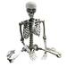 solacol Life Size Skeleton Halloween Decoration Halloween Skeleton Prop Human Full Size Skull Hand Life Body Anatomy Model Decor Full Size Skeleton Halloween Decoration