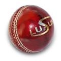 Lusum Munifex Cricket Ball By Sports Ball Shop - Womens / Red