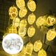 solacol Battery Operated String Lights Easter Eggs Wire String Lights Battery Operated Light Party Home Decor Lamps Usb String Lights Battery Operated Battery Operated Lights String