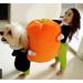 Tepsmf Pet Pumpkin Witch Doll Dog Costume Dog Cosplay Funny Costume Halloween Christmas Dog Clothes Party Costume for Small Medium Large Dogs