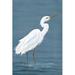 Highland Dunes Aalayah Wading Egret I On Canvas by Michael Willett Print Canvas in White | 36 H x 24 W x 1.25 D in | Wayfair