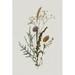 August Grove® Armyn Pressed Autumn Blooms I by Victoria Barnes Canvas in Gray | 12 H x 8 W x 1.25 D in | Wayfair AD12689616C44959B6B9087221FB8745