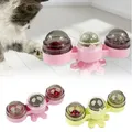 Jouet boule d'herbe à chat pour chaton Puzzle interactif plateau tournant avec brosse jouets pour