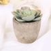 Mini Artificial Succulents In Pots Fake Succulents Set Artificial Succulents Artificial Potted Plants For Home Desk Decoration(White #12)