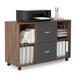 Mobile filing cabinet with 2 drawers and 4 open storage cabinets Walnut-dark gray 59355