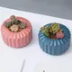 Petits Pots de plantes succulentes rayés d'intérieur Mini Pot de fleurs de 3.15 pouces Pots à