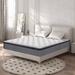 Queen Medium 10" Foam Mattress - Ladinimo Pocket Spring Hybrid w/ CertiPUR-US Certified | 80 H x 60 W 10 D in Wayfair Lad-021L-Q