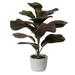 Vickerman 688397 - 17" Red Green Fiddle Leaf Fig Plant (FM224002) Home Office Bushes