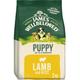 James Wellbeloved Dry Puppy Food with Lamb and Rice 2kg