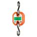 Digital Hanging Scale 150kg/ 330lb Portable Crane Scale LCD Backlight Steel Hook Scales for Farm Fishing Food Market Outdoor Work