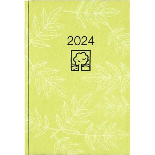 Buchkalender grün 2024 – Bürokalender 14,5×21 cm – 1 Tag auf 1 Seite – Kartoneinband, Recyclingpapier – Stundeneinteilung 7 – 19 Uhr – 876-0713
